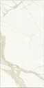 Calacatta
