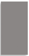 Iron
