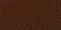 Cacau