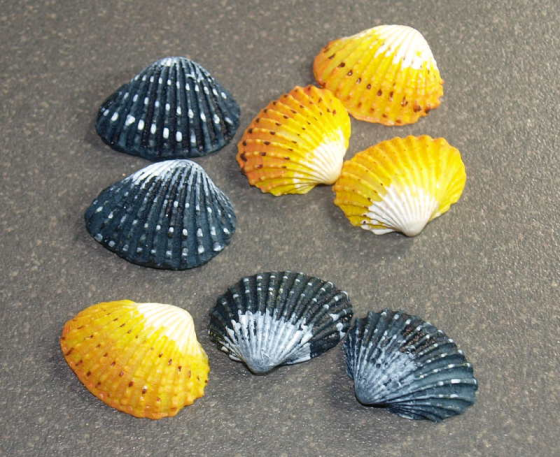 Forme Coquillage Jaune