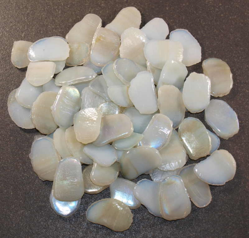 [62491_205] Pétales Blancs Irisés, par 100g